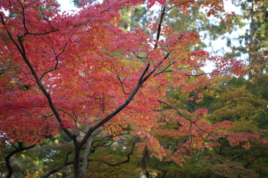 円覚寺