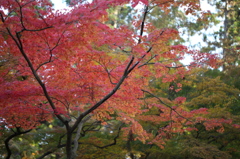 円覚寺