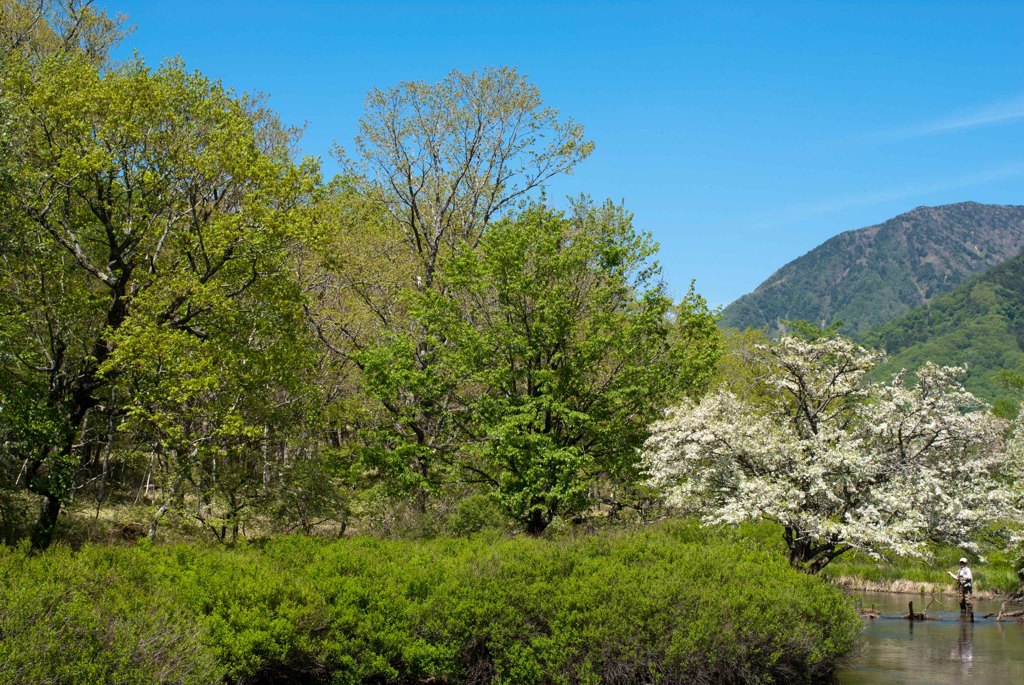 釣れますかぁ〜