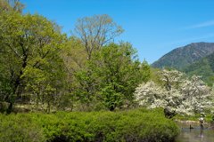 釣れますかぁ〜