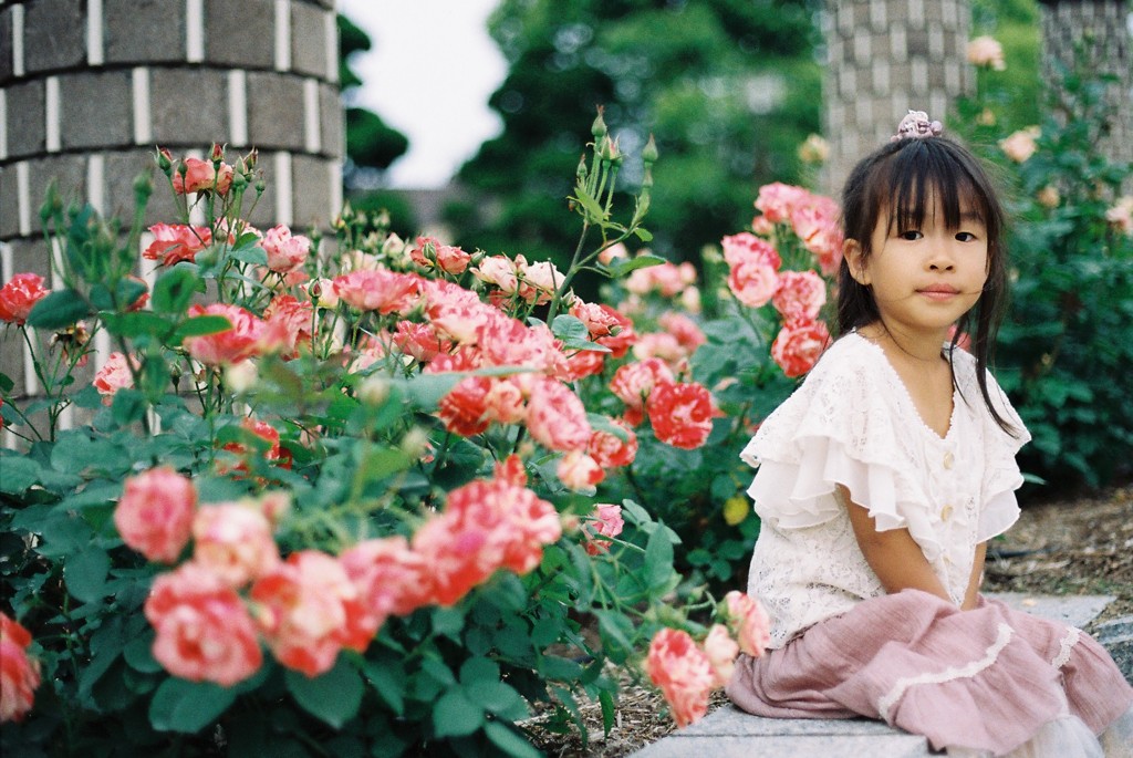 Rose Garden