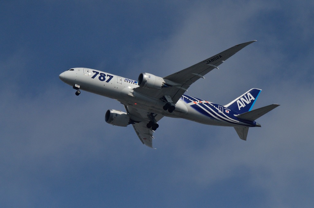 Boeing 787 Dreamliner　都島上空