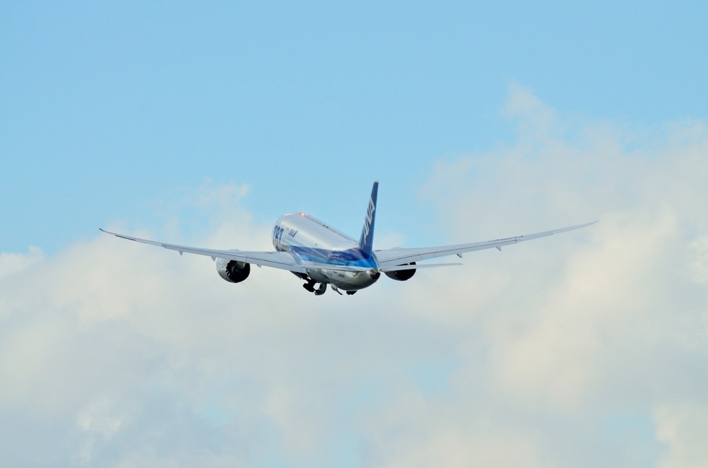伊丹空港　ANA Boeing 787 Dreamliner