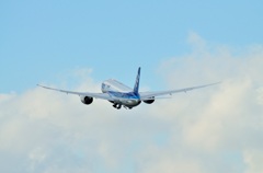 伊丹空港　ANA Boeing 787 Dreamliner