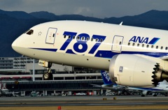 伊丹空港　ANA Boeing 787 Dreamliner
