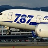 伊丹空港　ANA Boeing 787 Dreamliner