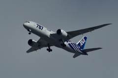 Boeing 787 Dreamliner　都島上空