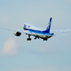 Nikon1  伊丹空港　ANA Boeing 787 Dreamliner