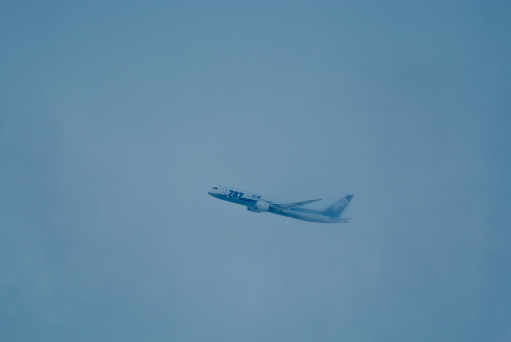 Nikon1  伊丹空港　ANA Boeing 787 Dreamliner