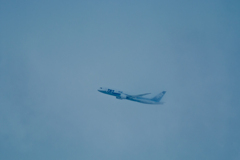 Nikon1  伊丹空港　ANA Boeing 787 Dreamliner
