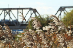 秋の赤川鉄橋