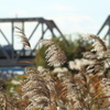 秋の赤川鉄橋