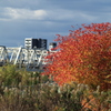 紅葉と赤川鉄橋