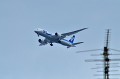 Boeing 787 Dreamliner　都島上空