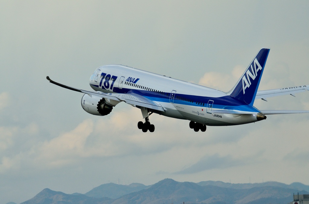 伊丹空港　ANA Boeing 787 Dreamliner