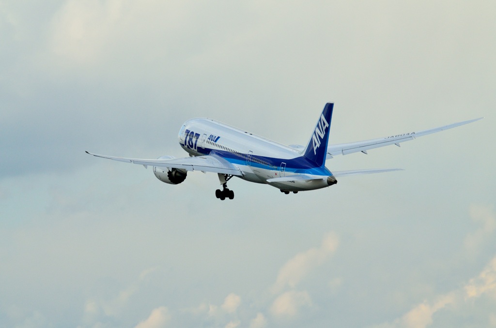 伊丹空港　ANA Boeing 787 Dreamliner