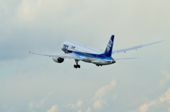 伊丹空港　ANA Boeing 787 Dreamliner