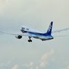 伊丹空港　ANA Boeing 787 Dreamliner