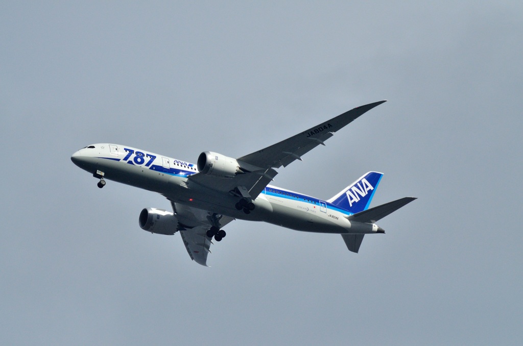Boeing 787 Dreamliner　都島上空