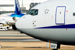 Nikon1  伊丹空港　ANA Boeing 787 Dreamliner