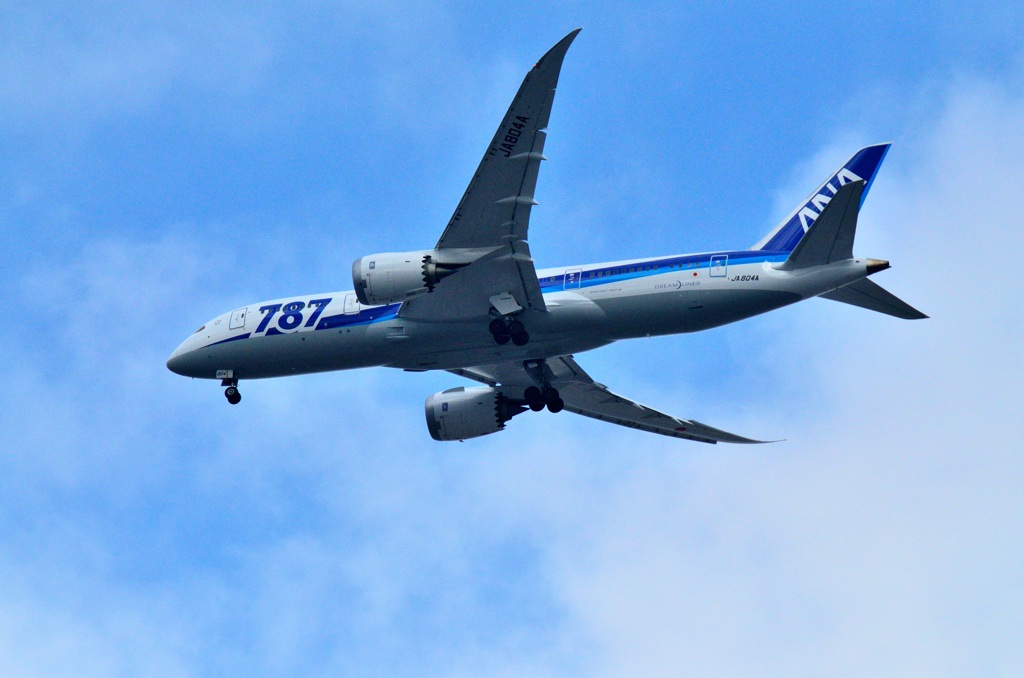 Boeing 787 Dreamliner　都島上空