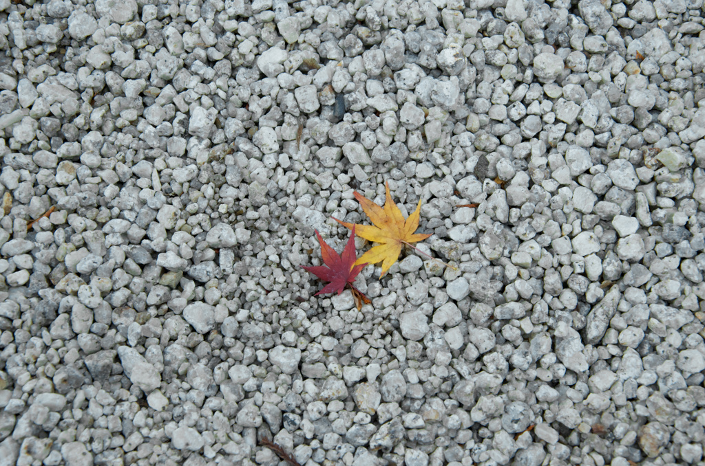 なかよし