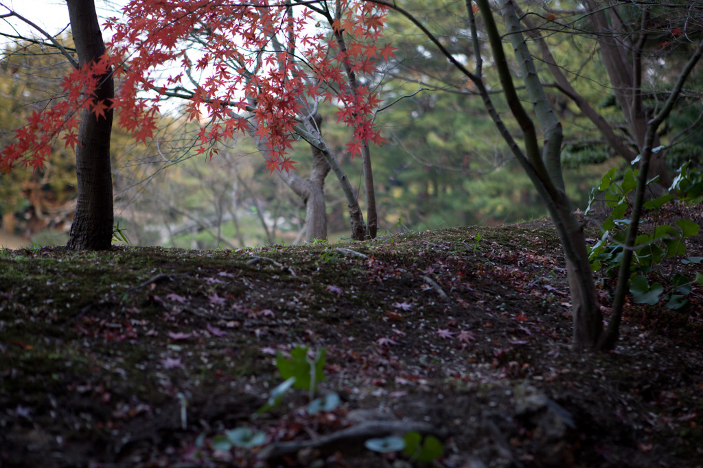 栗林公園４
