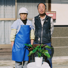 家族写真