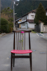 芍薬と椅子