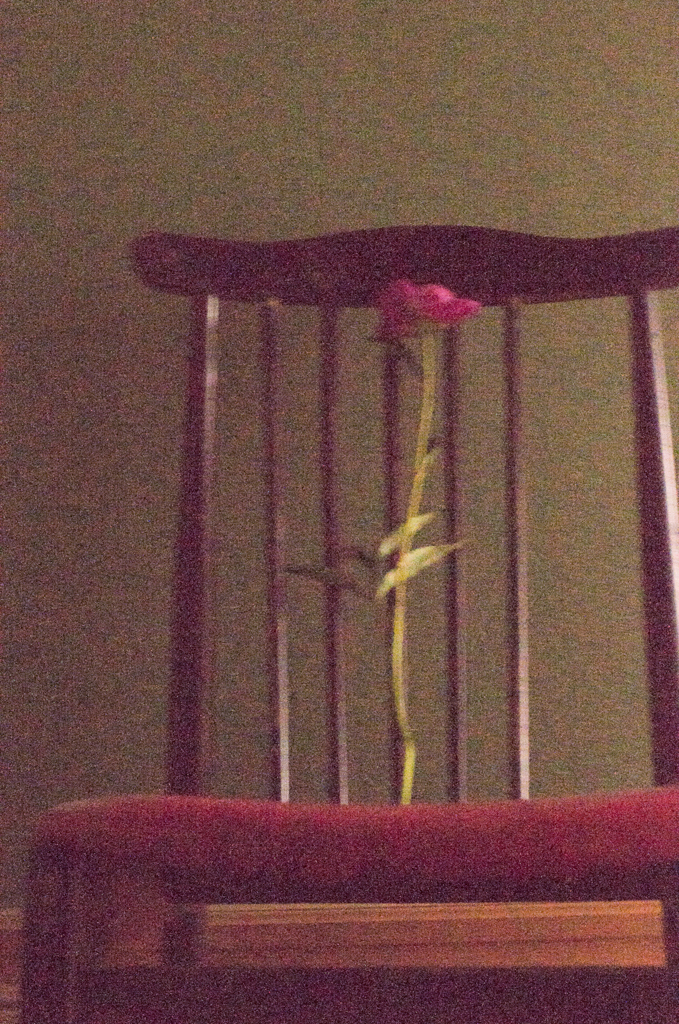 芍薬と椅子