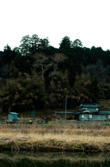共生