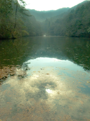 池２