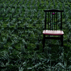 芍薬と椅子