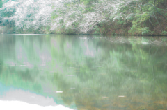 池