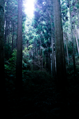 光