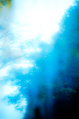 「黒い雨」　井伏鱒二