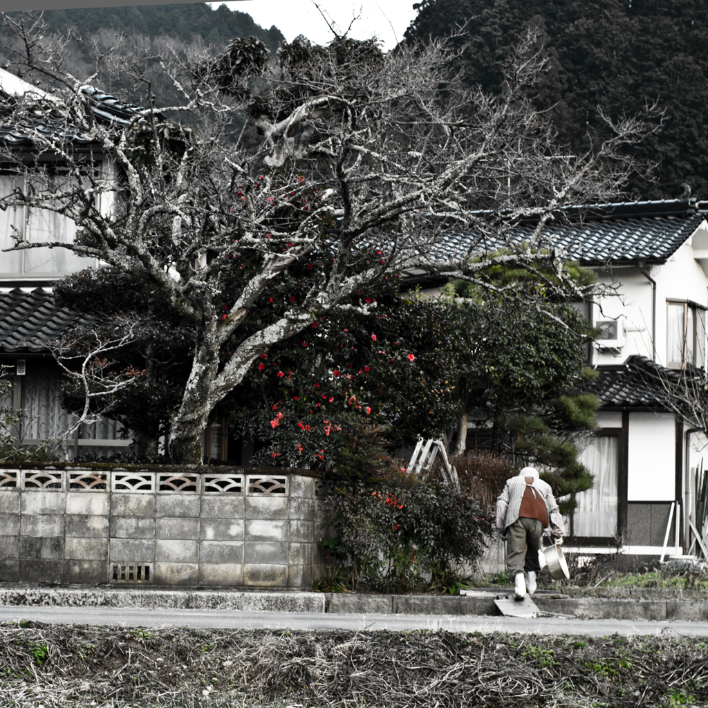 日常の風景