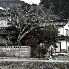 日常の風景