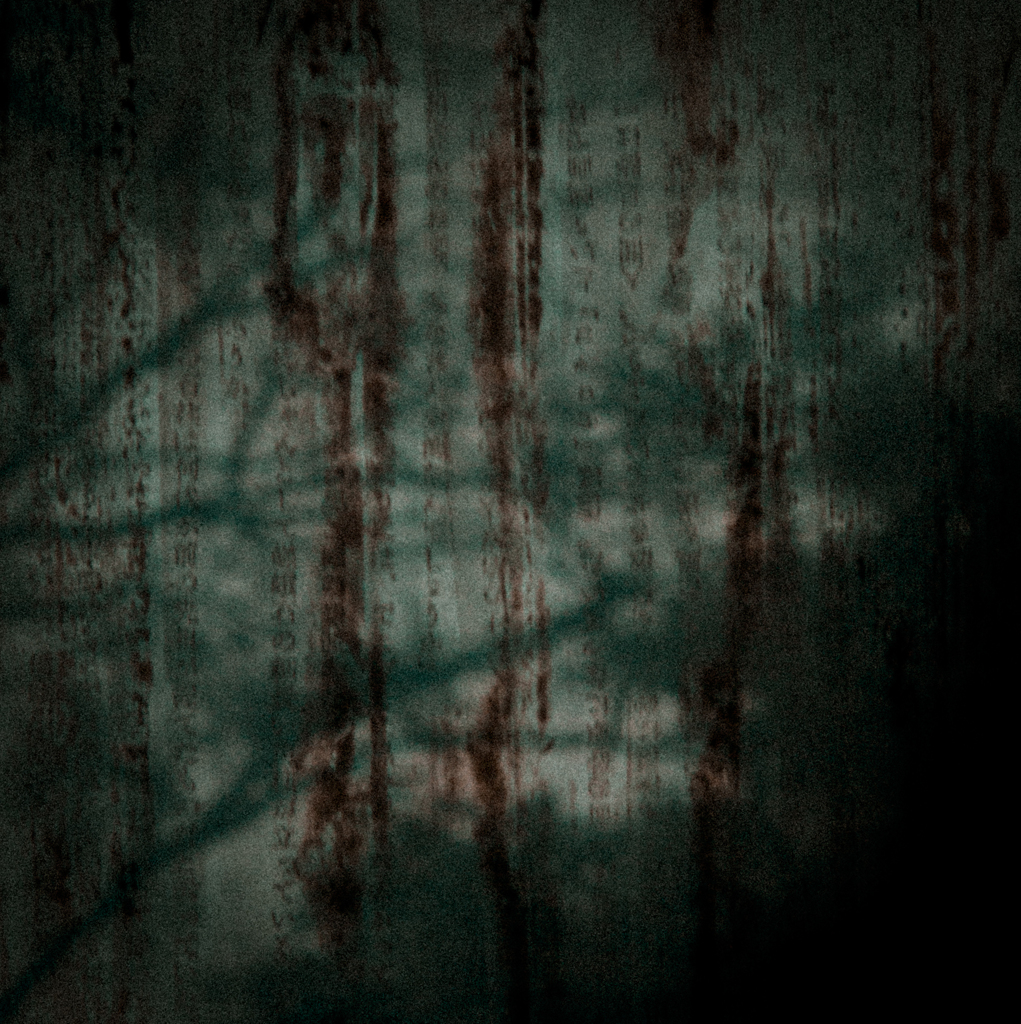 「黒い雨」　井伏鱒二