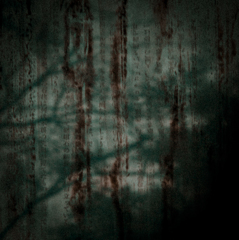 「黒い雨」　井伏鱒二