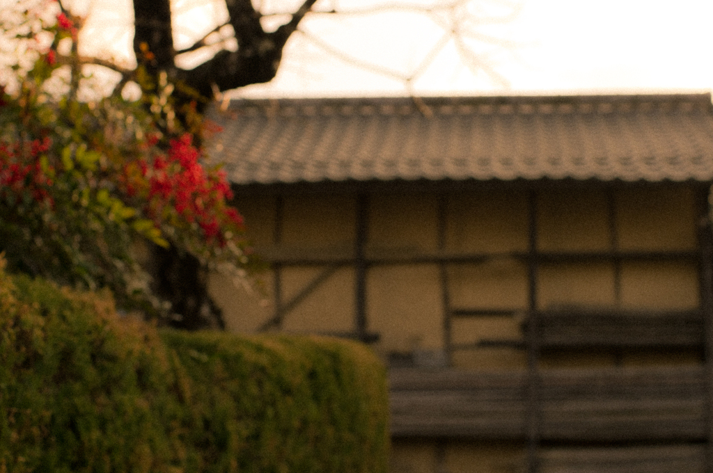 宿題　小津先生へ
