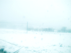 雪景色