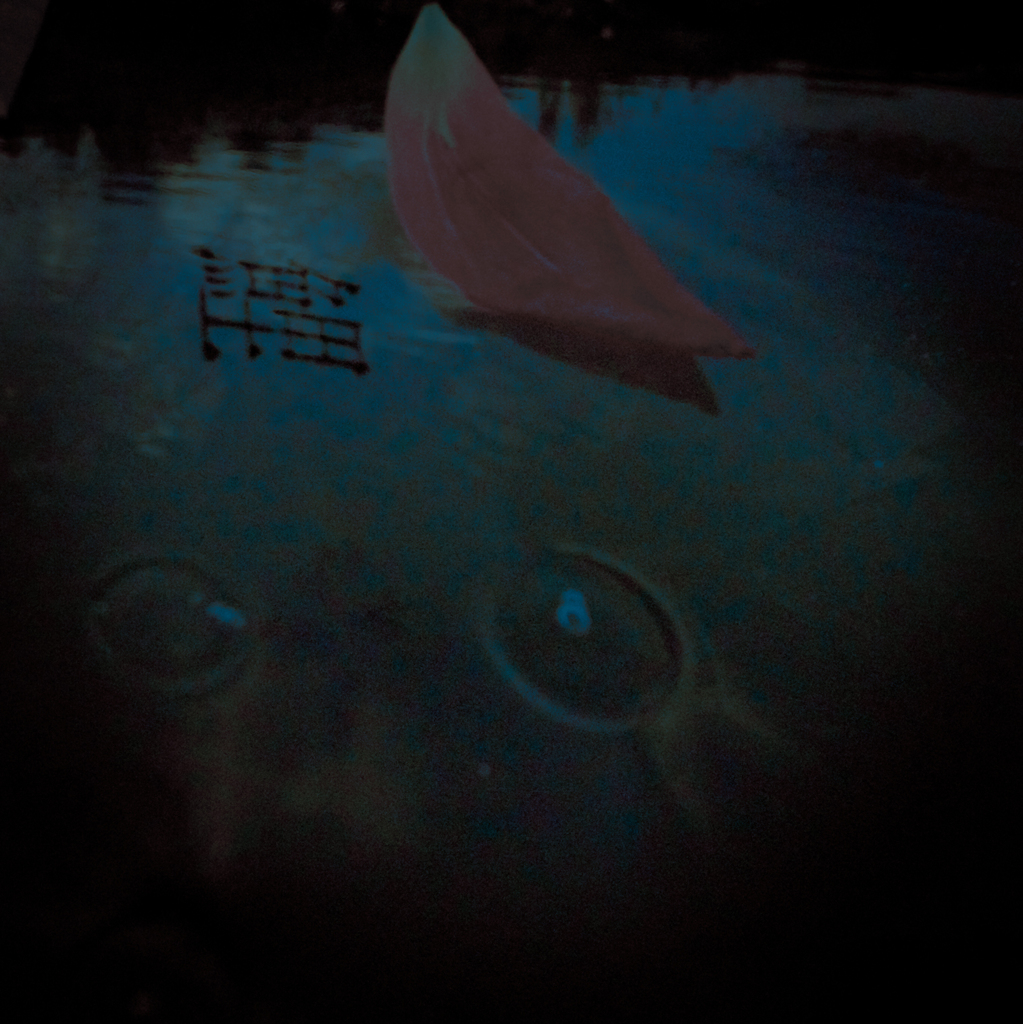 「鯉」　井伏鱒二