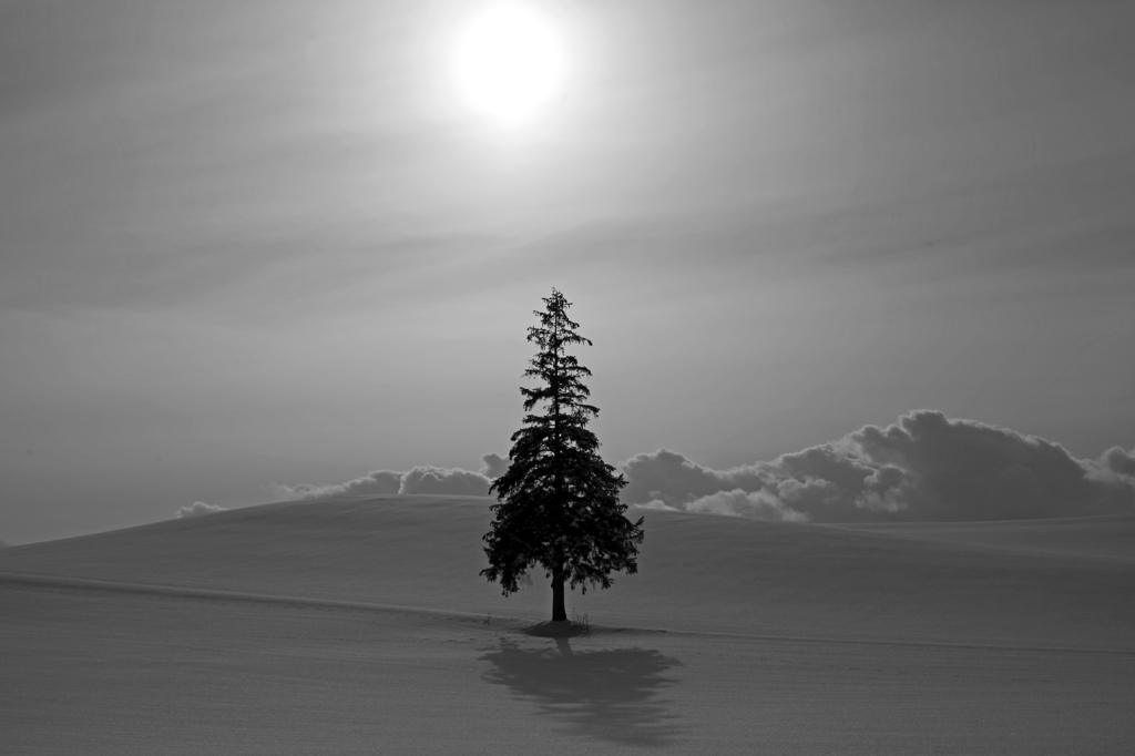 Monochrome World
