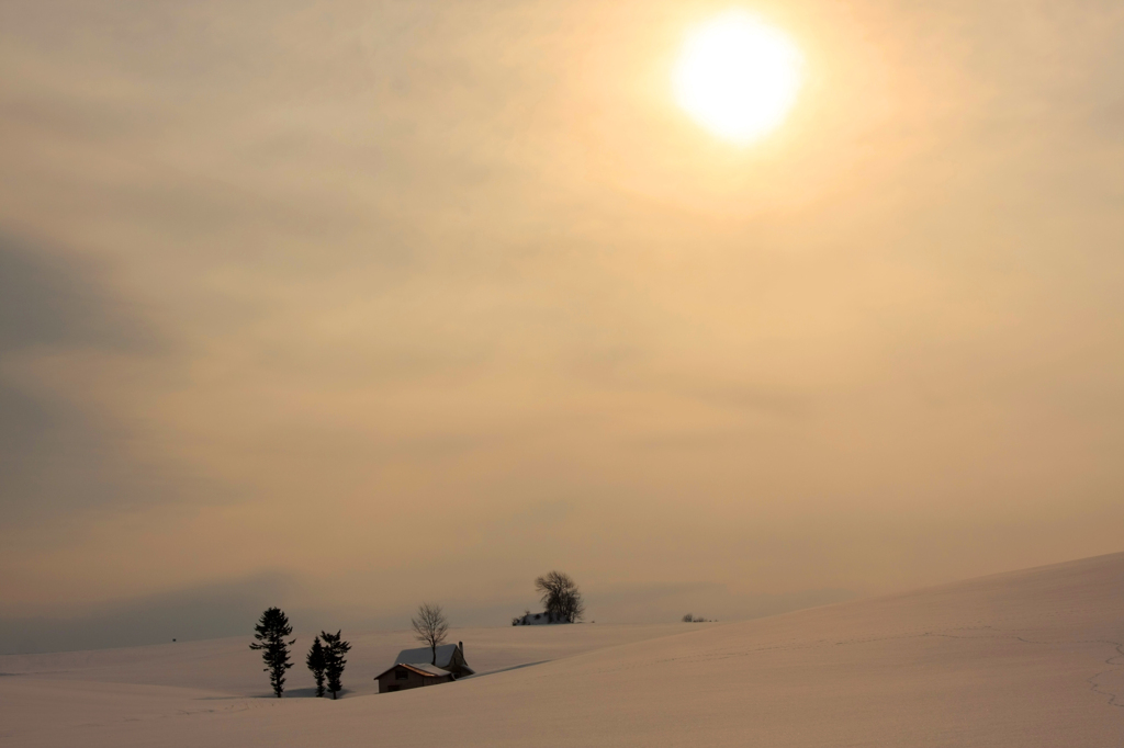 雪解けを待つ家