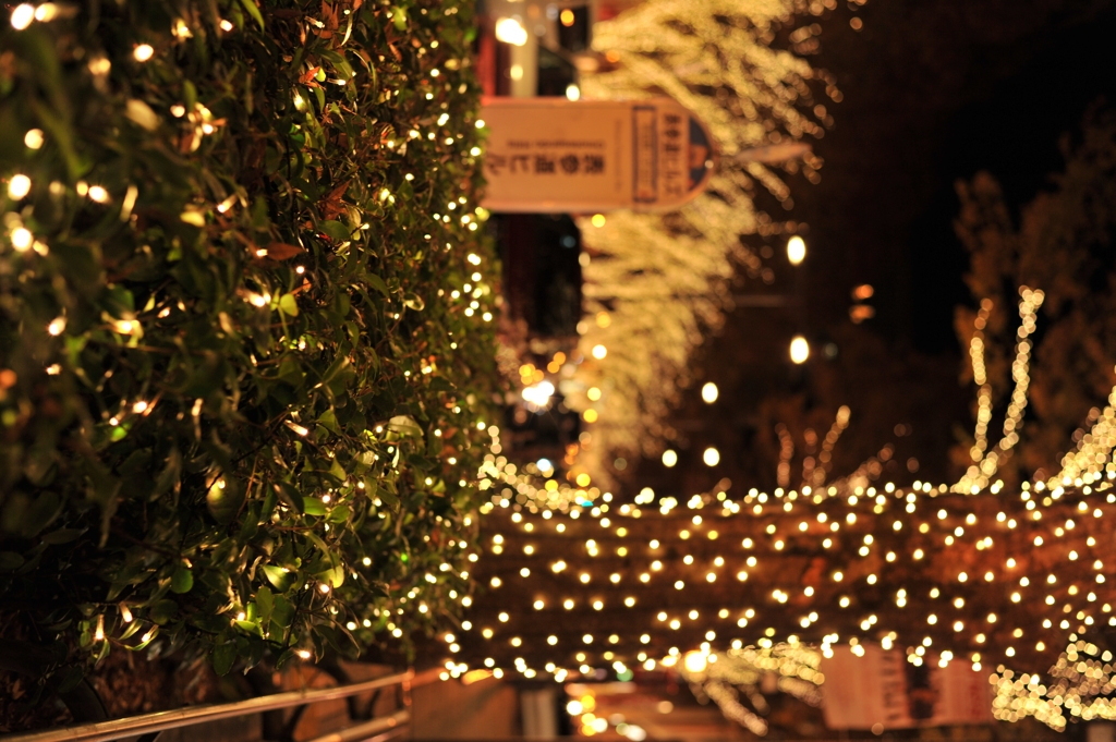 表参道イルミネーション2011