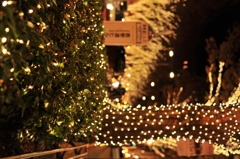 表参道イルミネーション2011