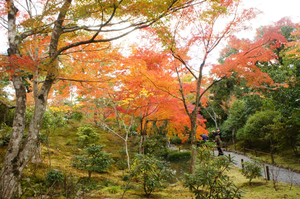 天龍寺013