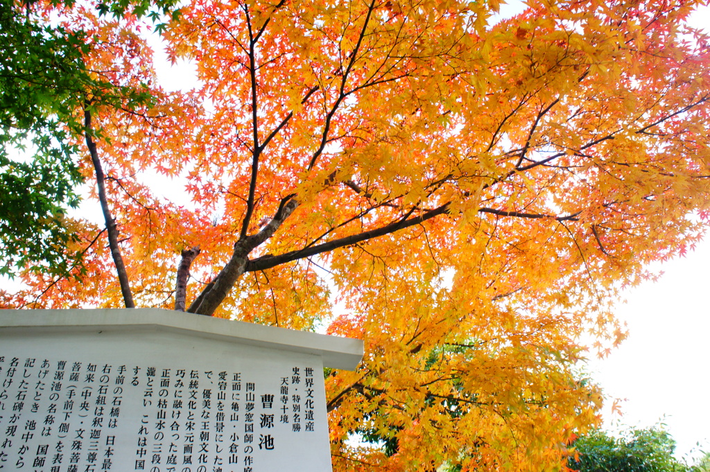 天龍寺004