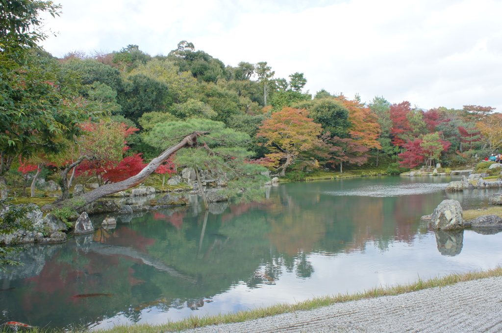 天龍寺001